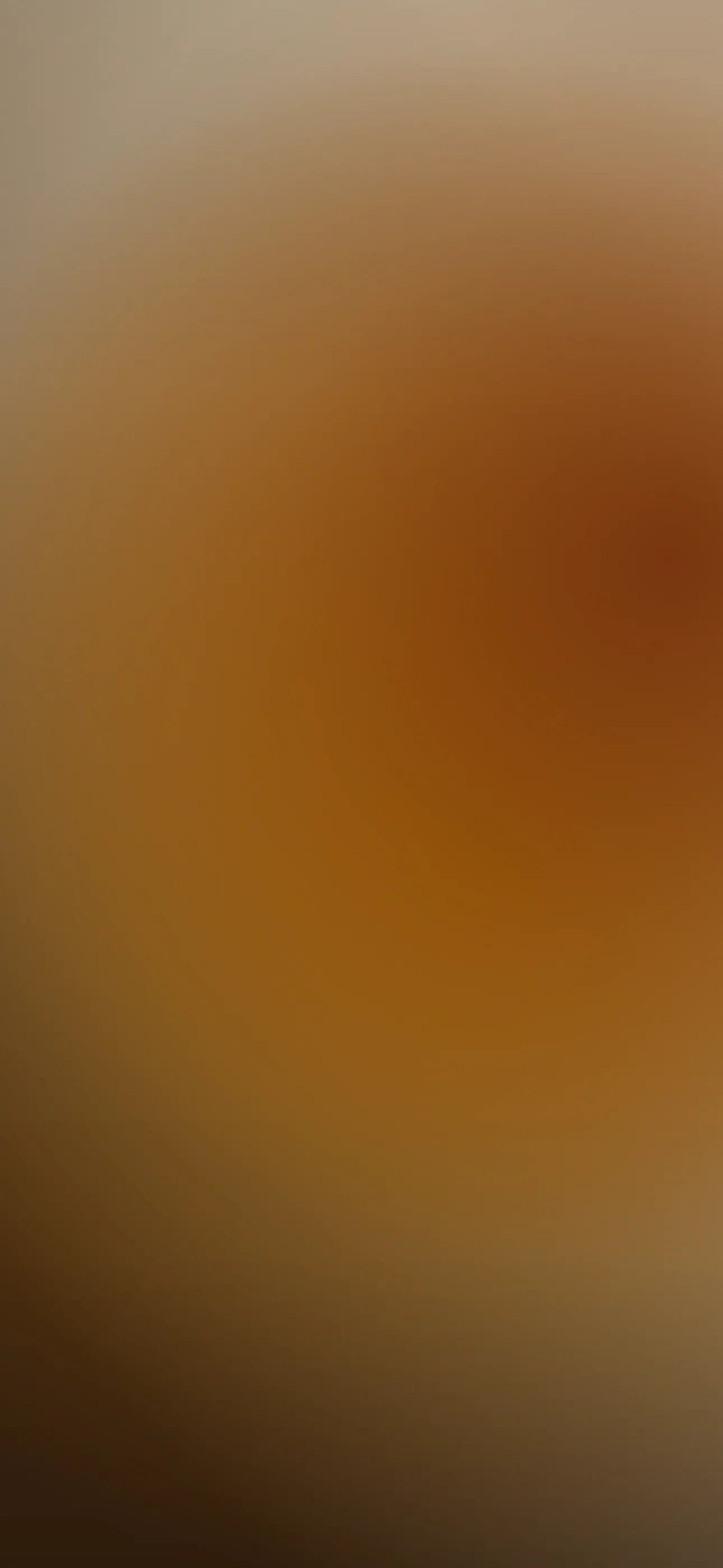 Dark Academia iPhone Wallpaper 08 — 4K dark academia lock screen background, free in Wallpaper Hub